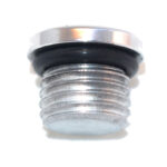 Straight Thread O-Ring Plug -04