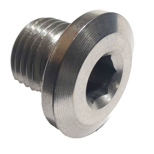 Master Cylinder Plug 1/2-20